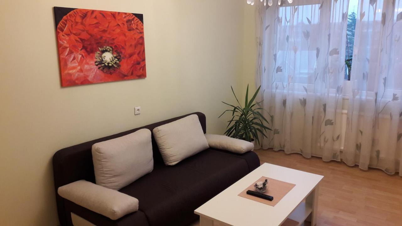 Grazinos Apartamentai Panevėžys Exterior foto